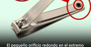 635135643 1245095744250443 1813919964688464694 n