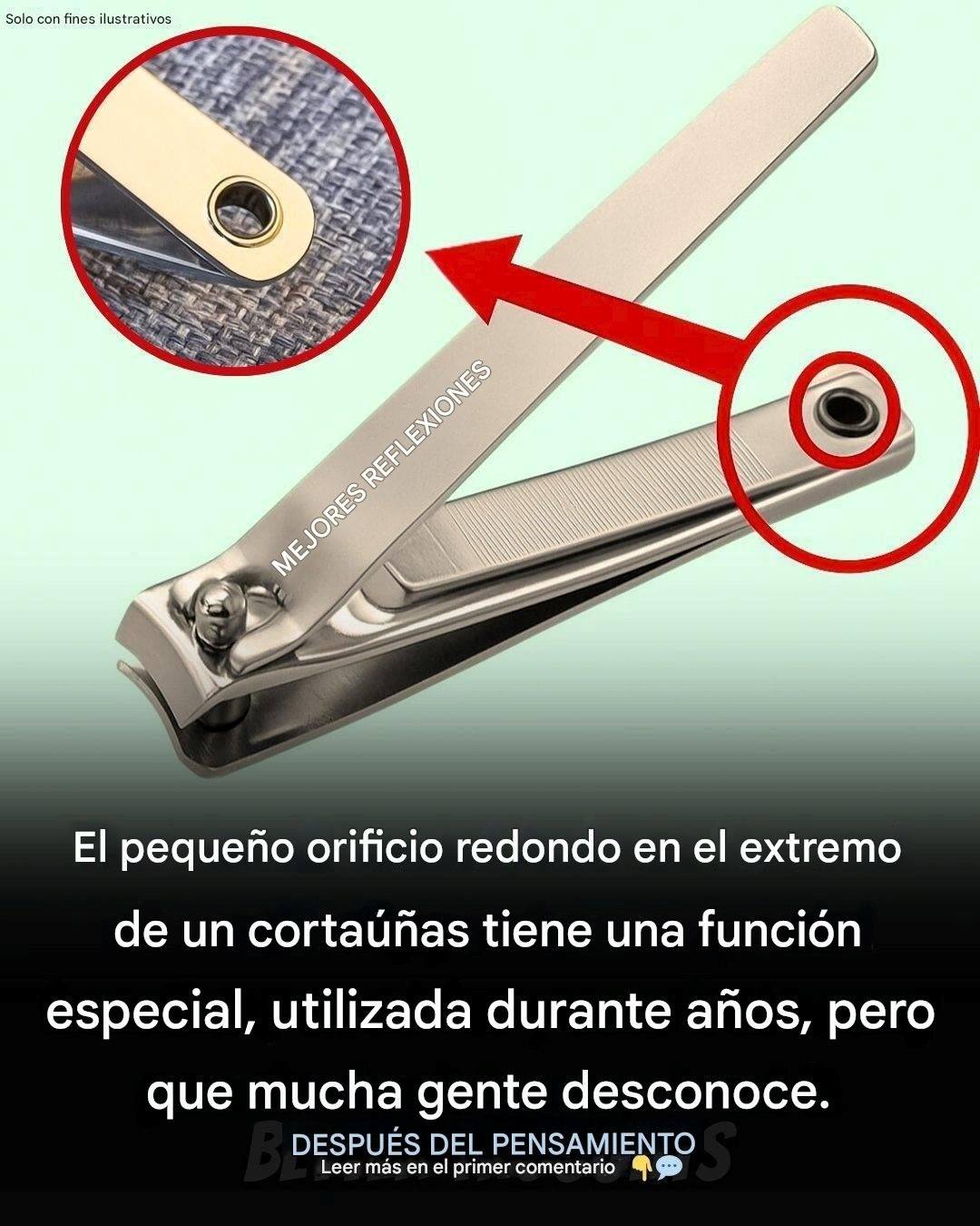 635135643 1245095744250443 1813919964688464694 n