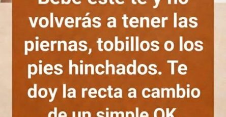 635152037 958629566854061 5916252620471359806 n