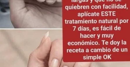 636753546 910769041536236 743754718350994129 n