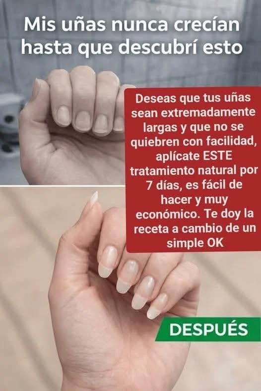 636753546 910769041536236 743754718350994129 n