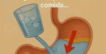 636880622 917065400816322 4746054863730917595 n