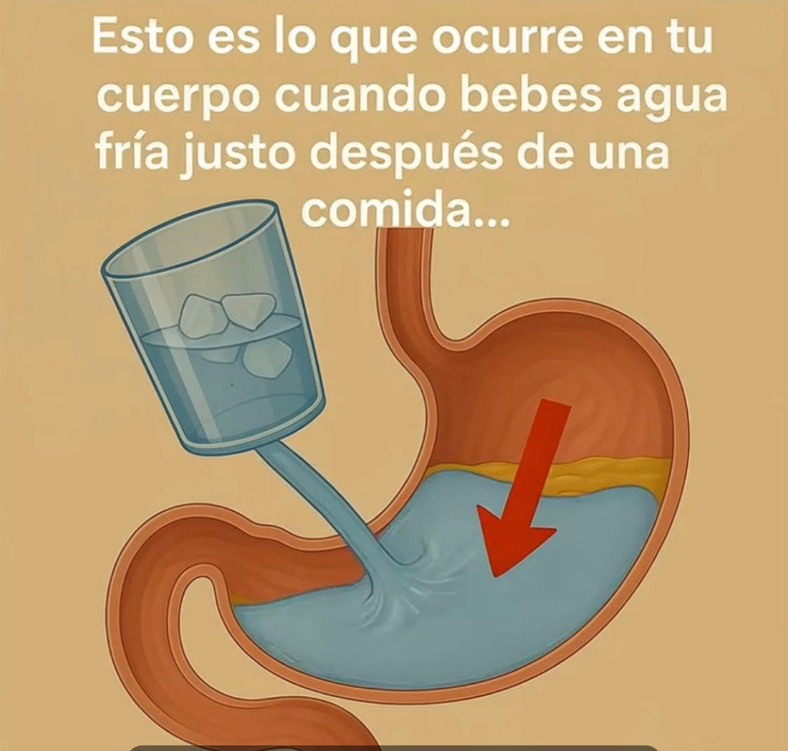 636880622 917065400816322 4746054863730917595 n