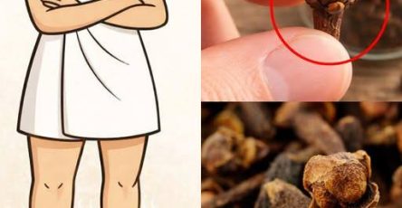 637176829 958638226853195 4268437125503263947 n