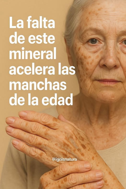 638167530 2169947597080442 3296323786897342237 n