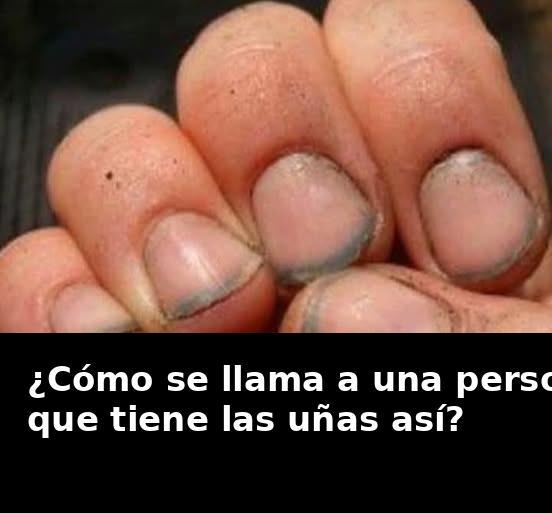 640060463 2627322137652164 3240933035397259544 n