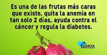 640264211 1506232554351186 8118210592321442311 n