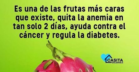 640264211 1506232554351186 8118210592321442311 n