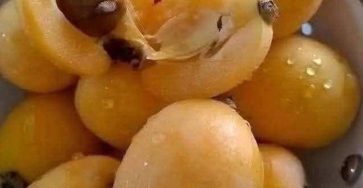 640571818 913239754901328 7872902427215983444 n