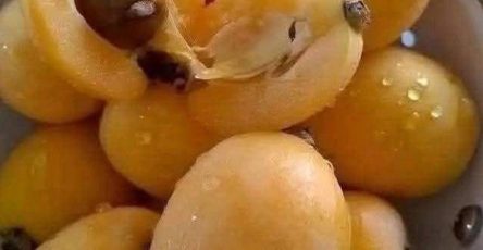 640571818 913239754901328 7872902427215983444 n