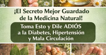 640792016 2064968071014738 873263970240872610 n