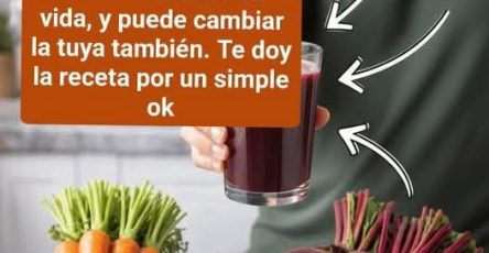 641249464 1254303016794976 1363996827840579031 n