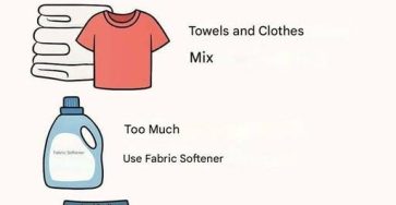 641514504 1643313540169036 8006269475541834590 n