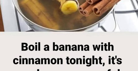 641550751 2135619997270619 82605149555453763 n