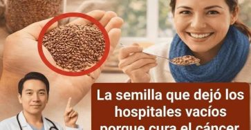 642208167 1455964432720151 4384180077388733011 n