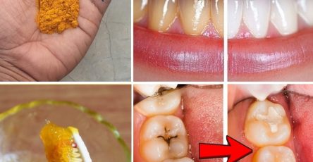 642719555 951428590893890 5831690090173327418 n