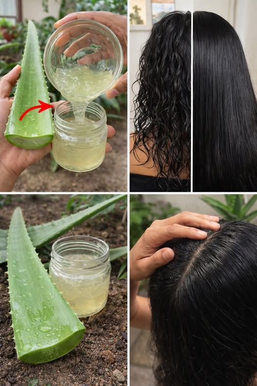 642890553 898375933062689 4256122635078730307 n