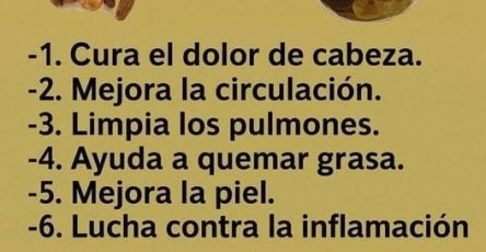 644219275 901792249409826 116129182248470660 n