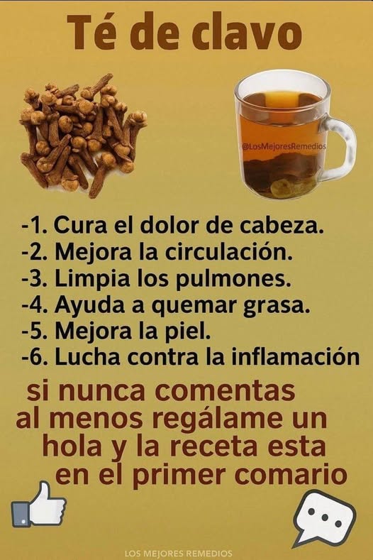 644219275 901792249409826 116129182248470660 n