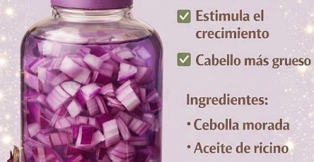 644284389 930350546118507 7348935786665863206 n