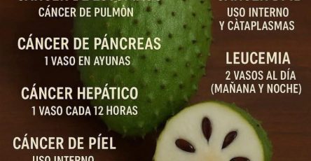 644361704 1767233097579653 3859394274806012562 n