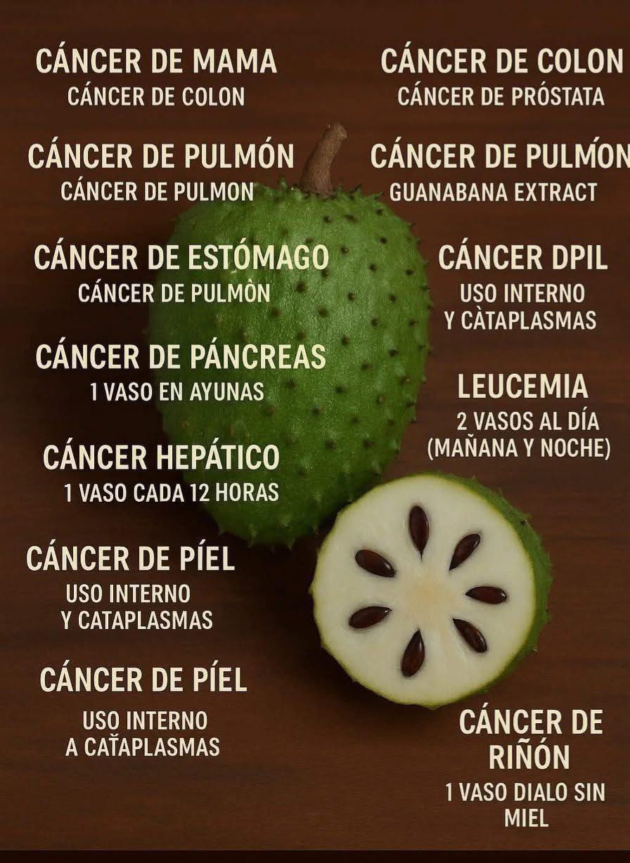 644361704 1767233097579653 3859394274806012562 n