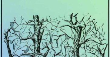 644550744 910498271965292 878679245455990368 n