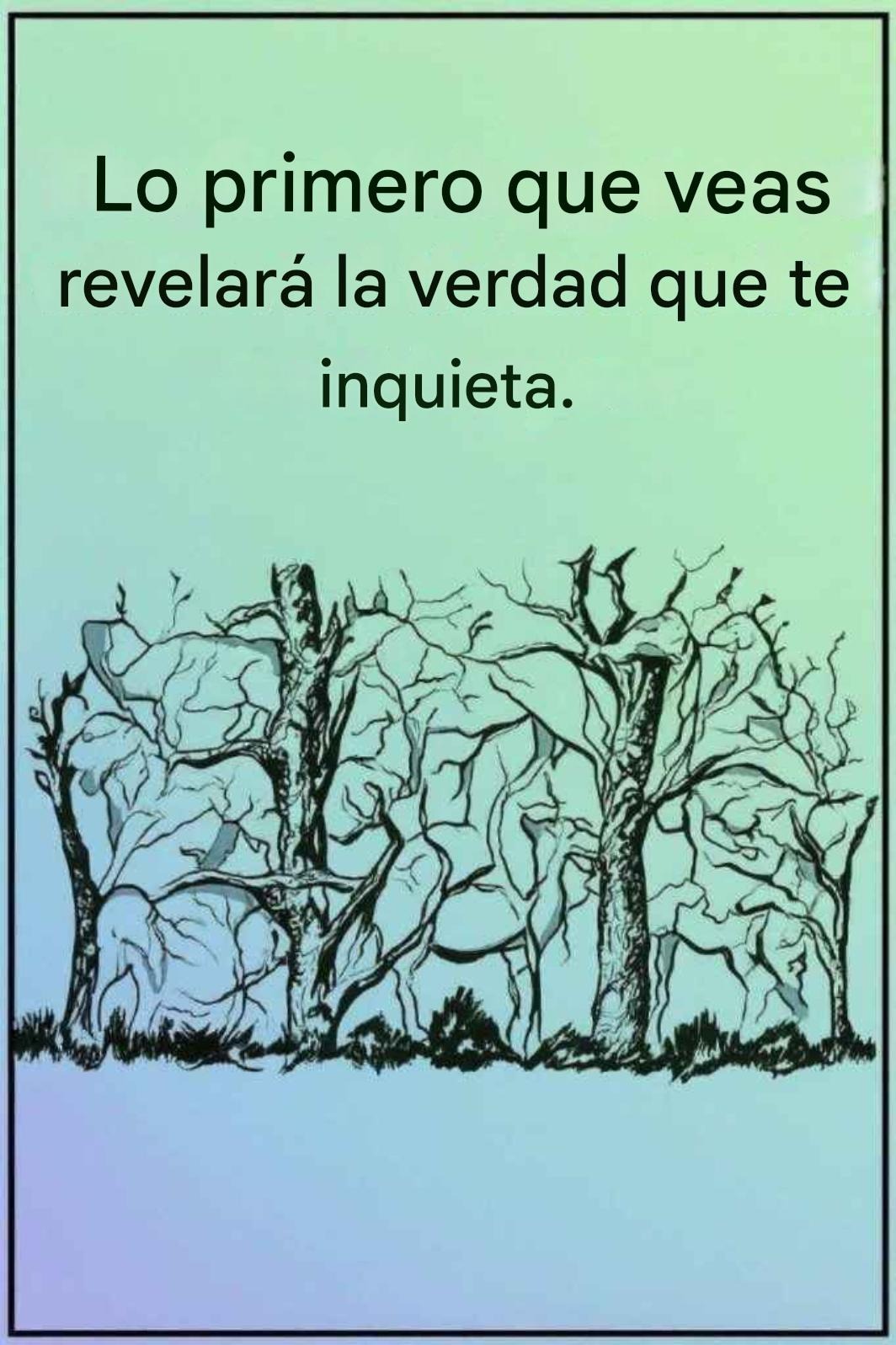 644550744 910498271965292 878679245455990368 n