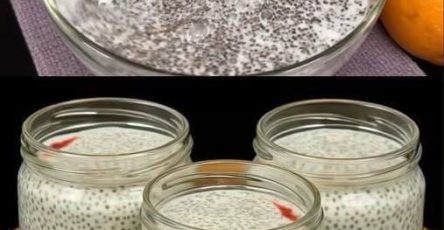 644807816 2168046914030998 8514334299237605355 n