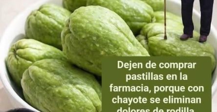 645212544 892273197015435 254602224888987341 n