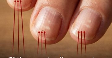 645285957 122294045150194612 1580565078117622679 n