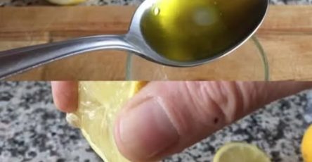 645313635 897361349748804 8173775360721582508 n