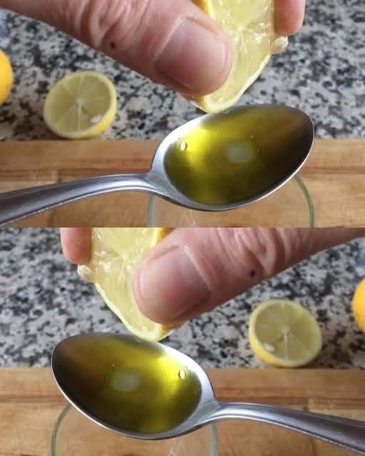 645313635 897361349748804 8173775360721582508 n