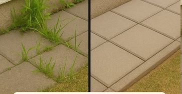 645406997 1928433384432092 9136774118381004787 n