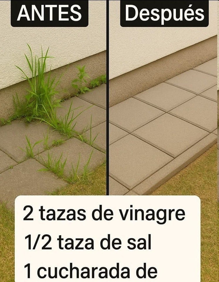 645406997 1928433384432092 9136774118381004787 n