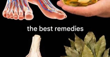 645411749 1863869614325230 7891968259743903058 n