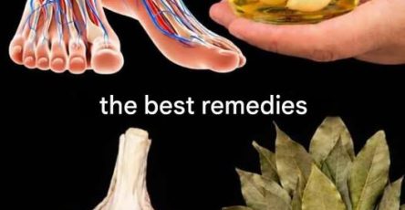 645411749 1863869614325230 7891968259743903058 n