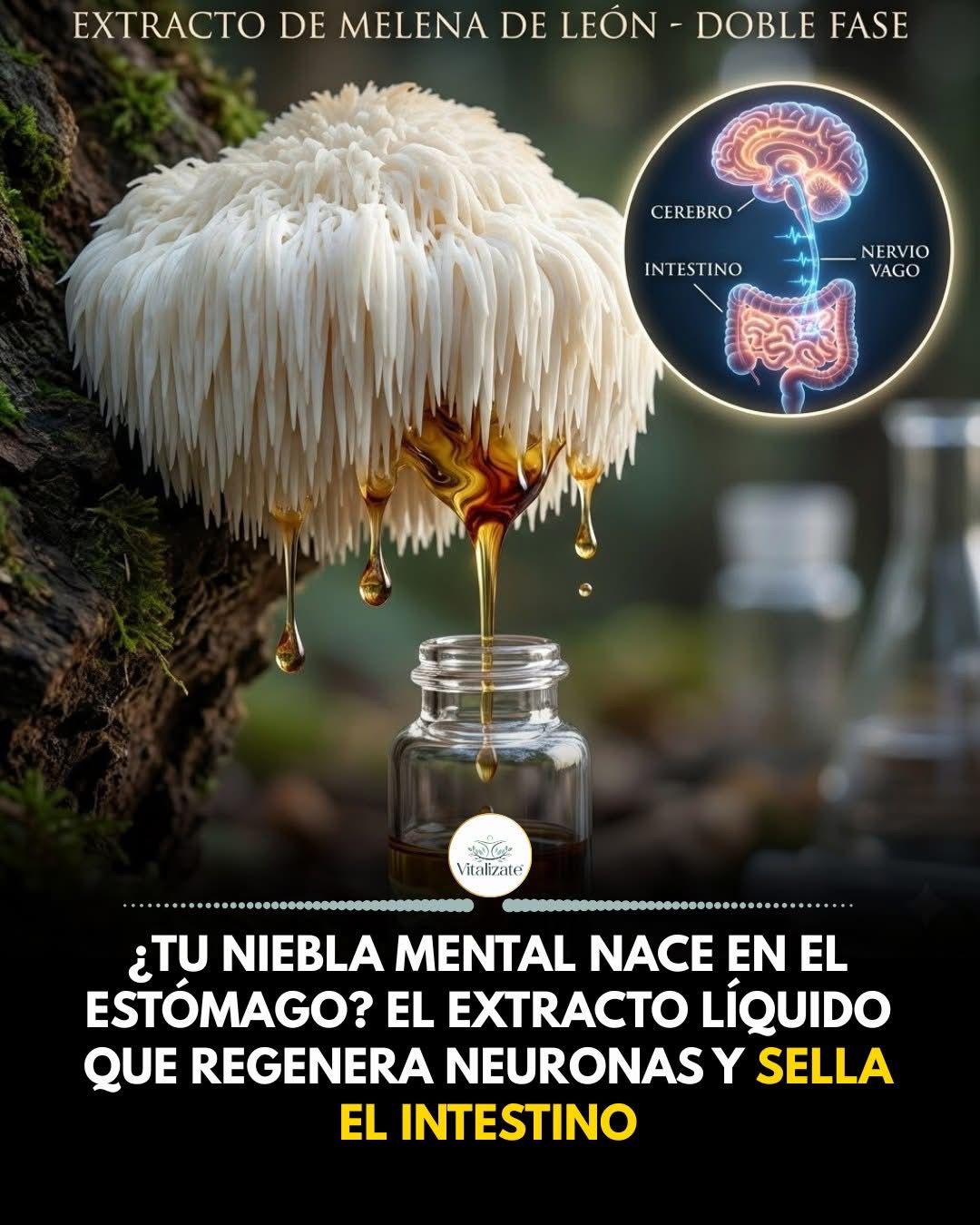 645417798 1776080526683150 8612249120696552908 n