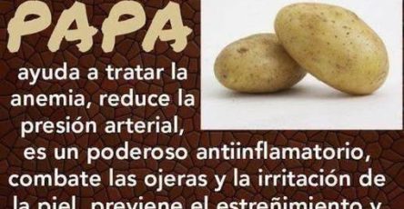 645479873 1547927389637442 5756251285766194831 n