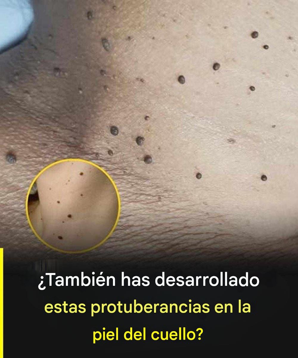 645501734 918592160902572 800340875246043433 n