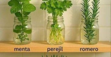 645510771 122108304255247977 4698438404685661532 n