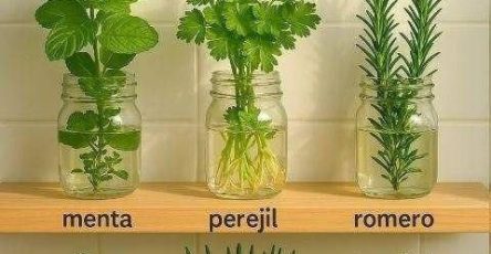 645510771 122108304255247977 4698438404685661532 n