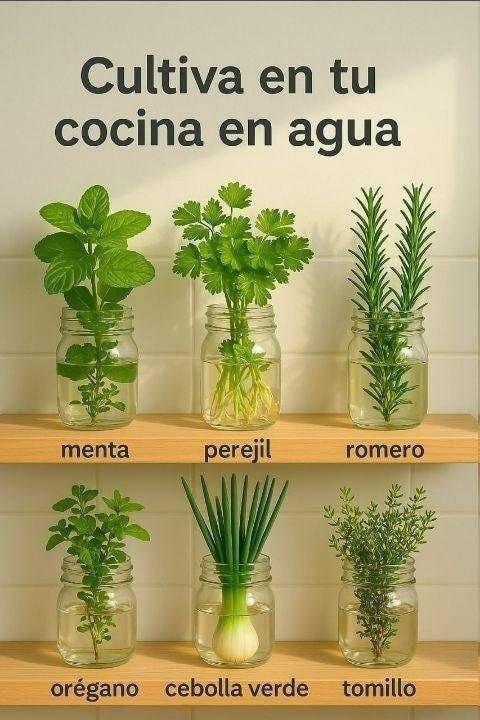 645510771 122108304255247977 4698438404685661532 n