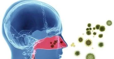 645785770 936663802176906 7543143260328976396 n