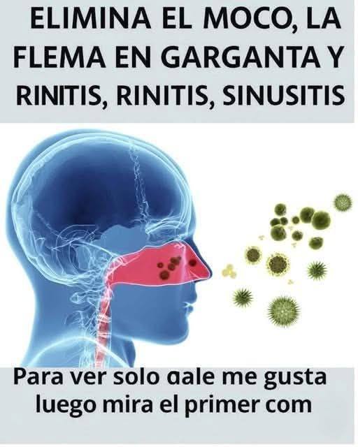 645785770 936663802176906 7543143260328976396 n