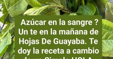 645940798 946933191201785 2701068160541441276 n