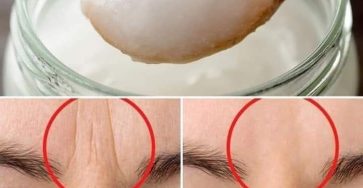 646128501 122125120929019915 3746872293355162586 n