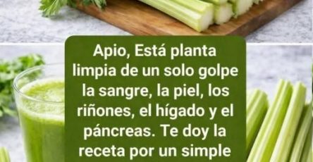 646130145 936855442160142 2187367873161548052 n