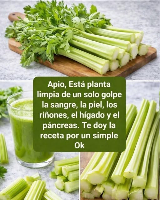 646130145 936855442160142 2187367873161548052 n