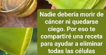 646204323 1617053699338453 1233762000181878044 n